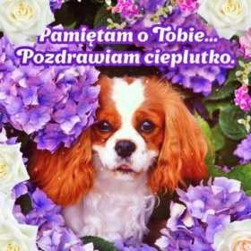 Pamiętam o Tobie!
