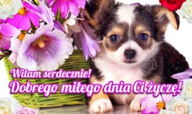 Witam serdecznie, Miłego dnia Ci życzę!