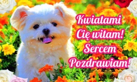 Kwiatami Cię witam!