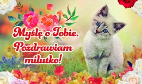 Myślę o Tobie i Pozdrawiam!
