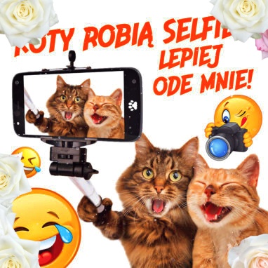 Koty i selfie!