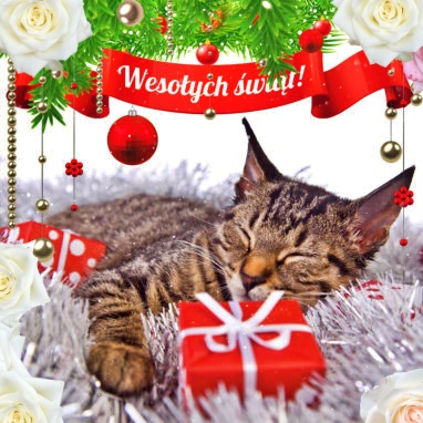 Wesołych świąt – kartka mikołajkowa.!