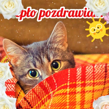 Ciepło pozdrawiam!