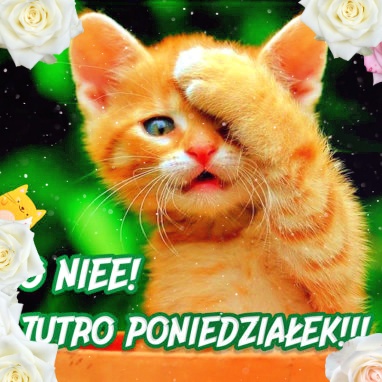 Jutro poniedziałek!!