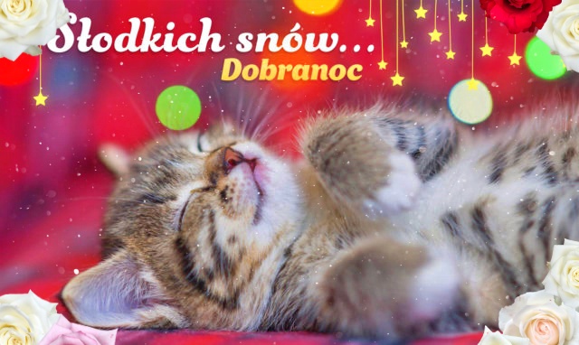 Kartka z kotkiem Słodkich snów!!