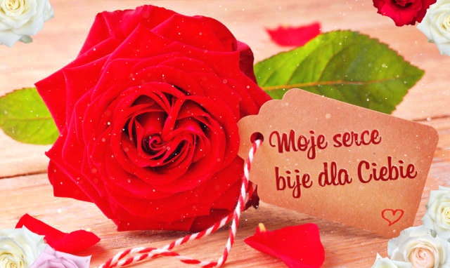 Dla Ciebie moje Serce!
