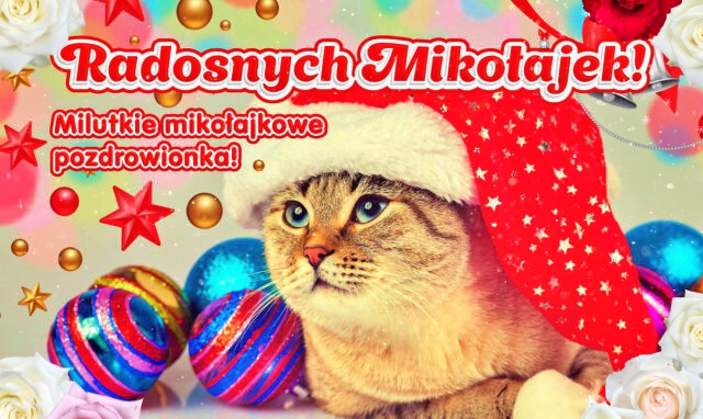 Kotek Mikołajkowy dla Ciebie!!