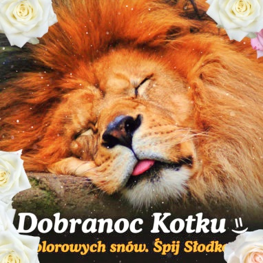 Dobranoc, Kotku!!