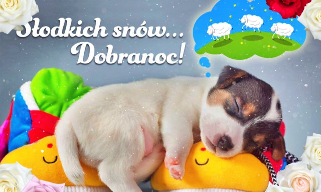 Słodkich snów Dobranoc!