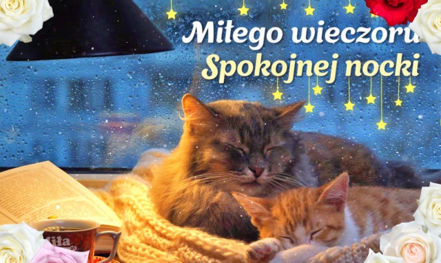 Miłego wieczoru kartka z kotkami!