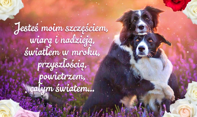 Jesteś moim światłem – kartka miłosna!