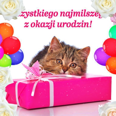 Wszystkiego najmilszego z okazji Urodzin!!