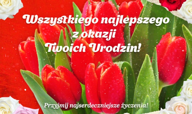 Kartka urodzinowa z tulipanami!