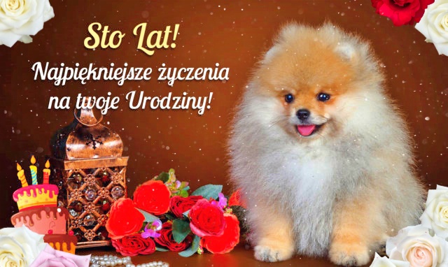 Sto Lat! Najpiękniejsze życzenia!!