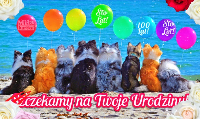 Już czekamy na Twoje Urodziny!!