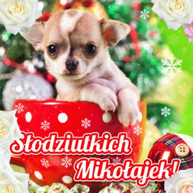 Słodziutki Mikołaj!
