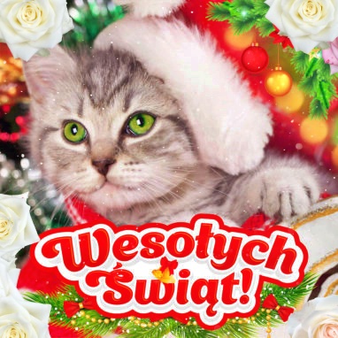 Kartka mikołajkowa z kotkiem!