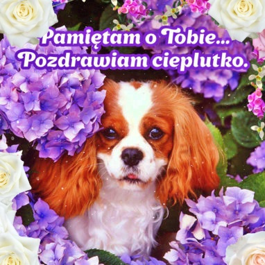 Pamiętam o Tobie!!
