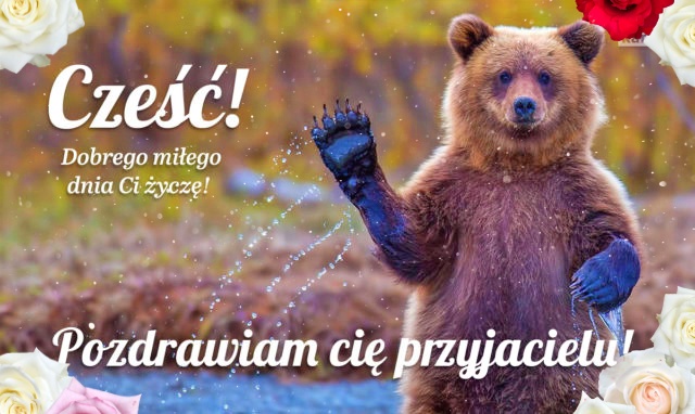 Cześć, przyjacielu!!