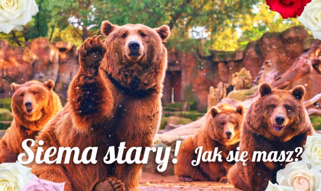 Siema! Jak się masz?!