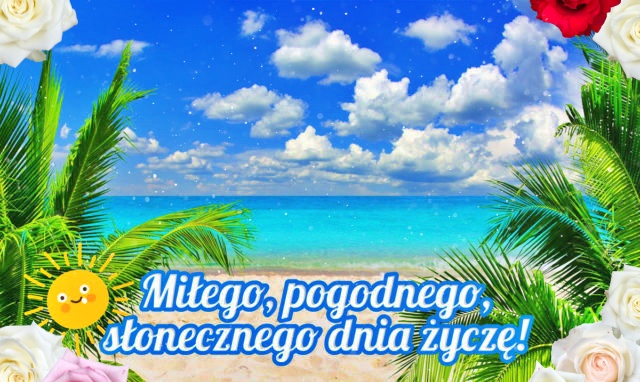Plaża, palmy i morze – pogodnego dnia Ci życzę!!