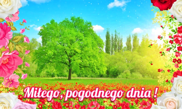 Pogodnego dnia życzę!!