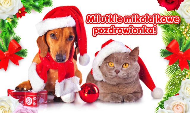 Kartka – milutkie mikołajkowe pozdrowionka.!