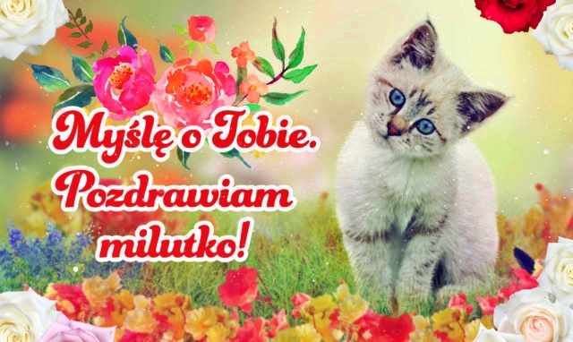 Myślę o Tobie i Pozdrawiam!!